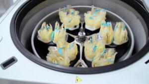 การผลิตส่วนประกอบโลหิต