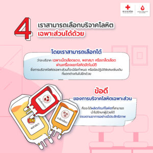 Red Cross_Design_Photo album_Topic 1-6.jpg