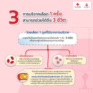 Red Cross_Design_Photo album_Topic 1-5.jpg